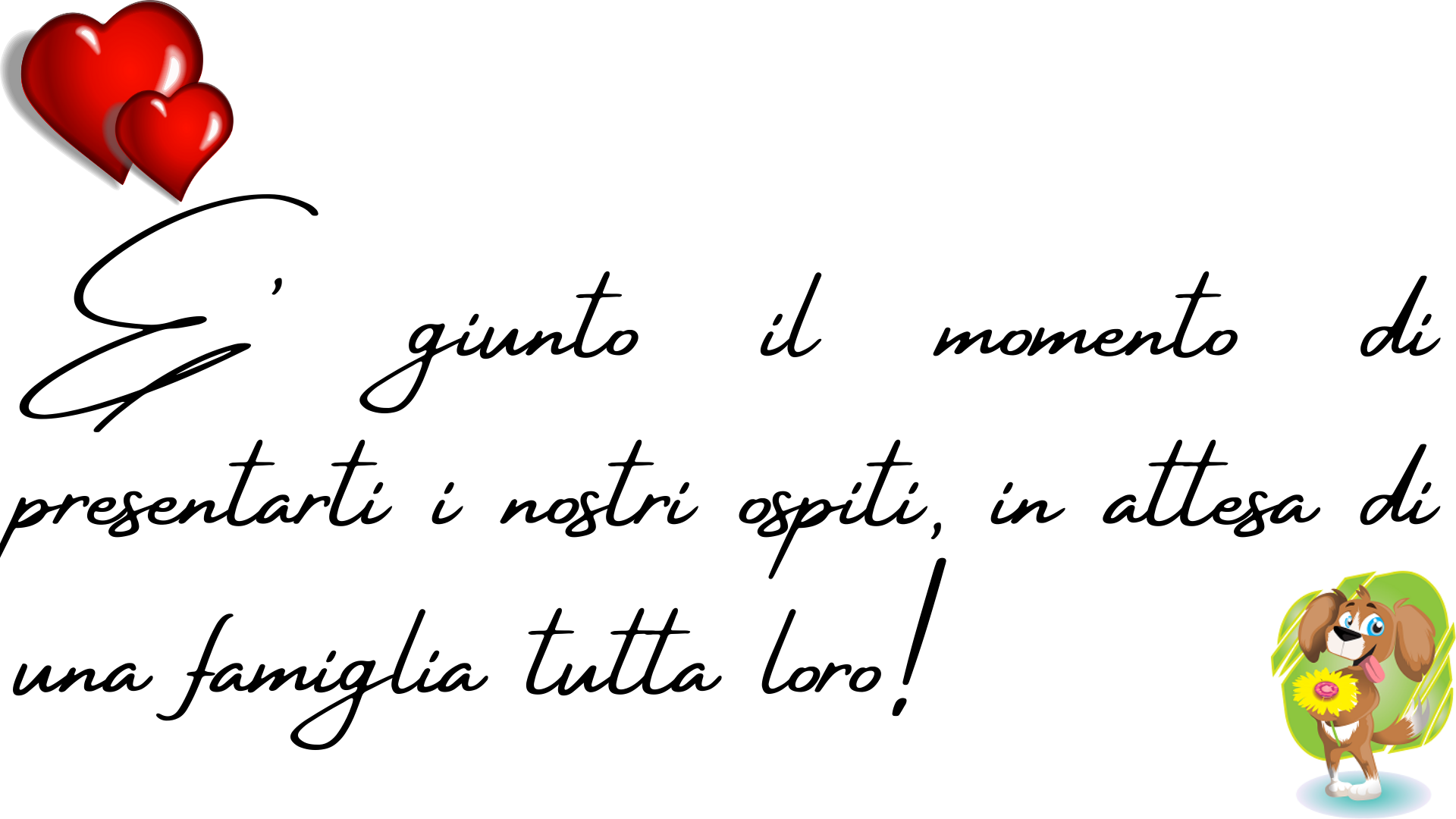 Ti presentiamo i nostri ospiti, in attesa di una famiglia da amare e che li ami1